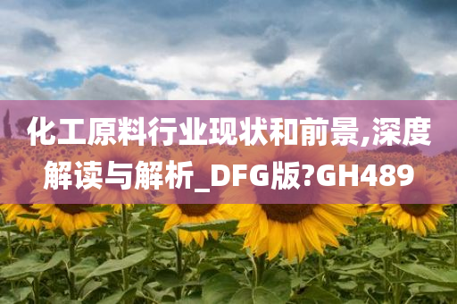 化工原料行业现状和前景,深度解读与解析_DFG版?GH489