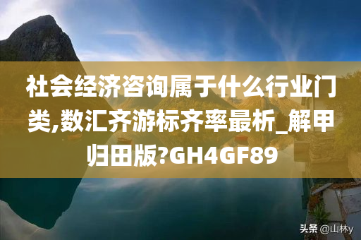 社会经济咨询属于什么行业门类,数汇齐游标齐率最析_解甲归田版?GH4GF89