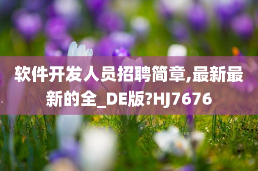 软件开发人员招聘简章,最新最新的全_DE版?HJ7676