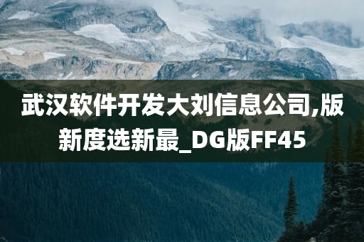 武汉软件开发大刘信息公司,版新度选新最_DG版FF45