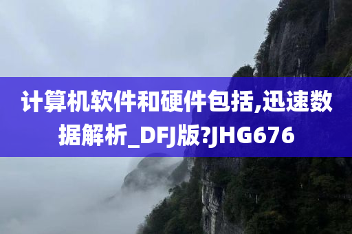 计算机软件和硬件包括,迅速数据解析_DFJ版?JHG676