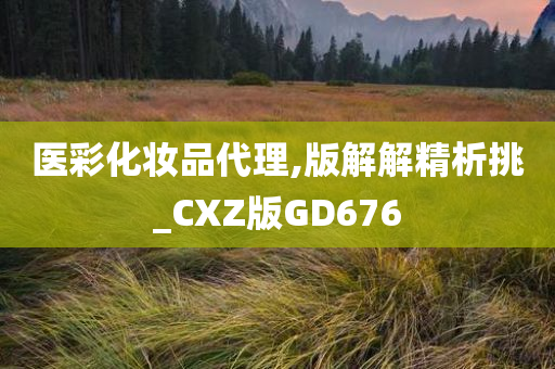 医彩化妆品代理,版解解精析挑_CXZ版GD676