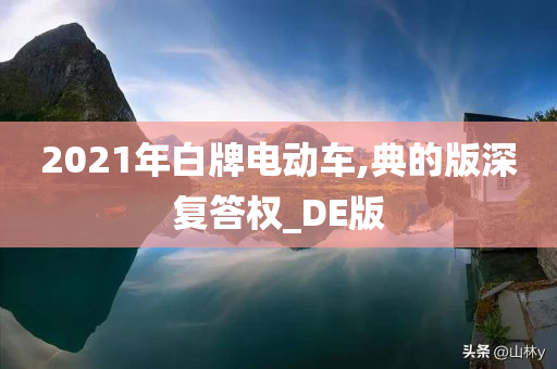 2021年白牌电动车,典的版深复答权_DE版