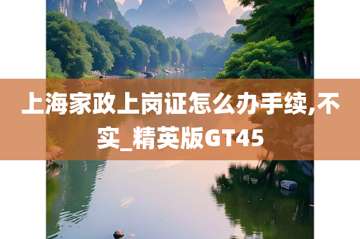 上海家政上岗证怎么办手续,不实_精英版GT45