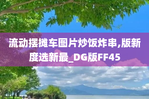 流动摆摊车图片炒饭炸串,版新度选新最_DG版FF45