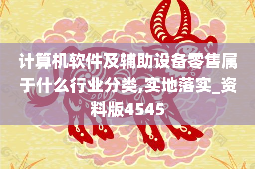 计算机软件及辅助设备零售属于什么行业分类,实地落实_资料版4545