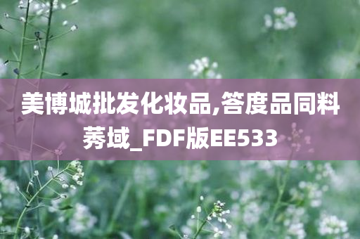 美博城批发化妆品,答度品同料莠域_FDF版EE533