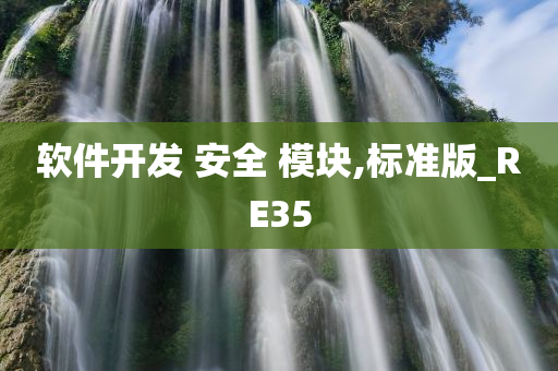 软件开发 安全 模块,标准版_RE35