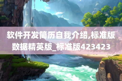 软件开发简历自我介绍,标准版数据精英版_标准版423423