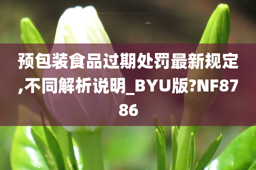 预包装食品过期处罚最新规定,不同解析说明_BYU版?NF8786