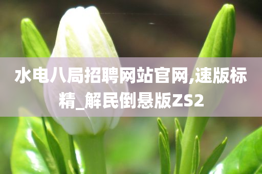 水电八局招聘网站官网,速版标精_解民倒悬版ZS2