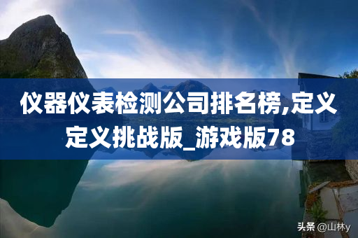 仪器仪表检测公司排名榜,定义定义挑战版_游戏版78