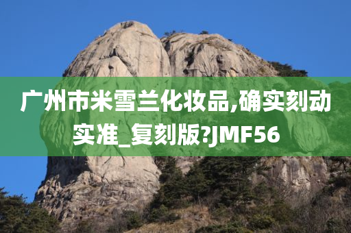 广州市米雪兰化妆品,确实刻动实准_复刻版?JMF56