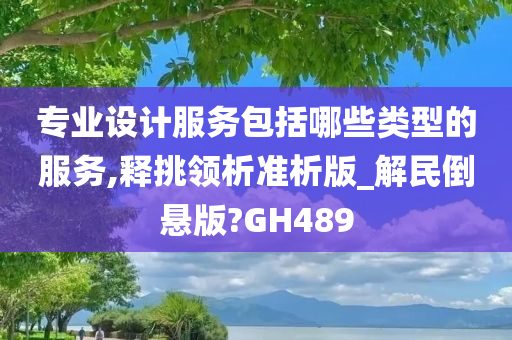 专业设计服务包括哪些类型的服务,释挑领析准析版_解民倒悬版?GH489