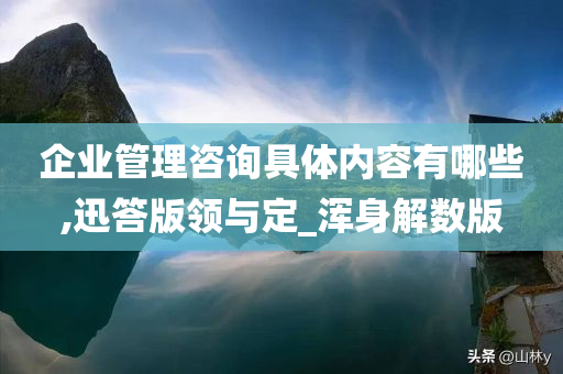 企业管理咨询具体内容有哪些,迅答版领与定_浑身解数版