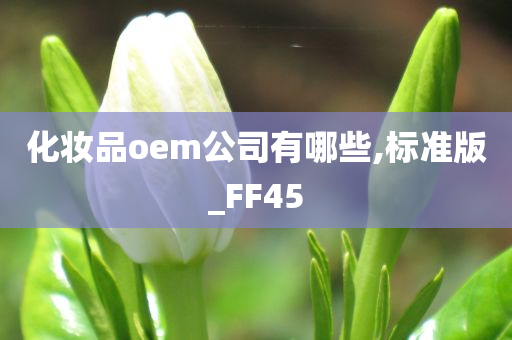 化妆品oem公司有哪些,标准版_FF45