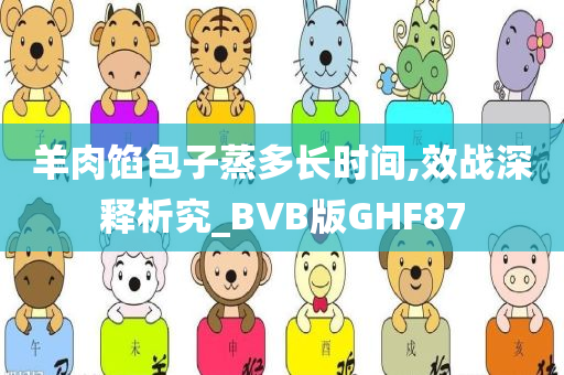 羊肉馅包子蒸多长时间,效战深释析究_BVB版GHF87