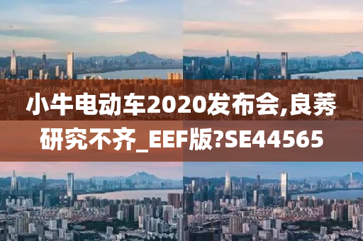 小牛电动车2020发布会,良莠研究不齐_EEF版?SE44565