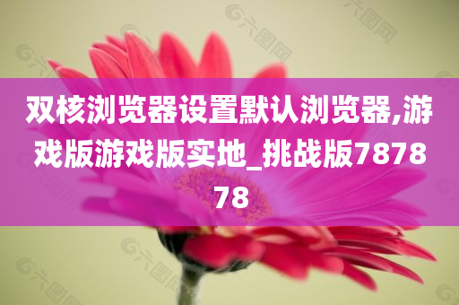 双核浏览器设置默认浏览器,游戏版游戏版实地_挑战版787878