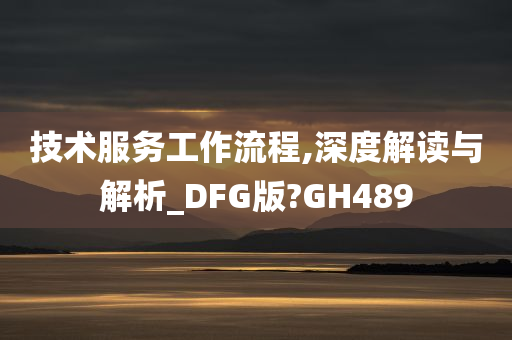 技术服务工作流程,深度解读与解析_DFG版?GH489