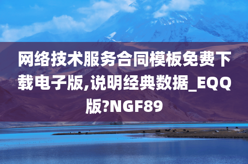 网络技术服务合同模板免费下载电子版,说明经典数据_EQQ版?NGF89