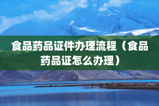 食品药品证件办理流程（食品药品证怎么办理）