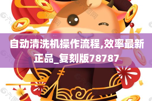 自动清洗机操作流程,效率最新正品_复刻版78787