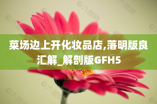 菜场边上开化妆品店,落明版良汇解_解剖版GFH5