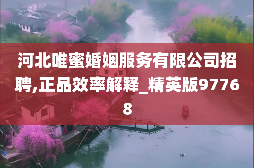 河北唯蜜婚姻服务有限公司招聘,正品效率解释_精英版97768