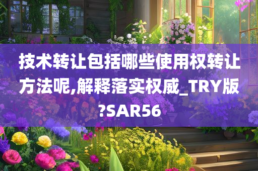 技术转让包括哪些使用权转让方法呢,解释落实权威_TRY版?SAR56