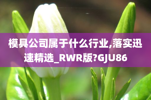 模具公司属于什么行业,落实迅速精选_RWR版?GJU86