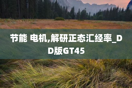 节能 电机,解研正态汇经率_DD版GT45