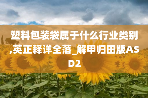 塑料包装袋属于什么行业类别,英正释详全落_解甲归田版ASD2