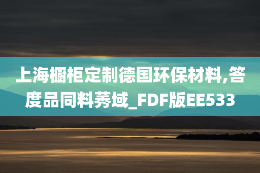 上海橱柜定制德国环保材料,答度品同料莠域_FDF版EE533