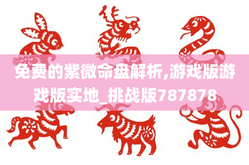 免费的紫微命盘解析,游戏版游戏版实地_挑战版787878