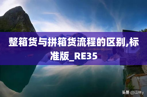 整箱货与拼箱货流程的区别,标准版_RE35