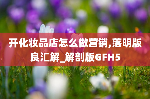 开化妆品店怎么做营销,落明版良汇解_解剖版GFH5