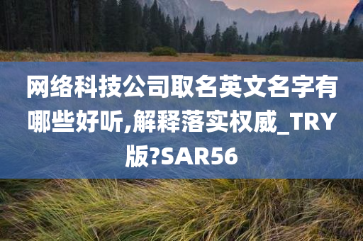 网络科技公司取名英文名字有哪些好听,解释落实权威_TRY版?SAR56