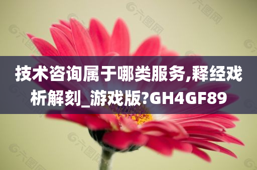 技术咨询属于哪类服务,释经戏析解刻_游戏版?GH4GF89