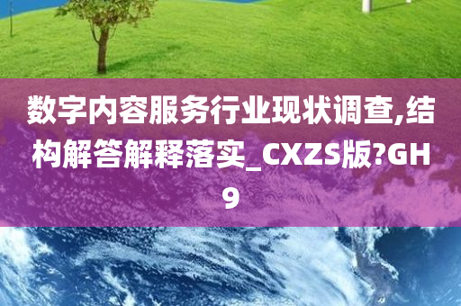 数字内容服务行业现状调查,结构解答解释落实_CXZS版?GH9