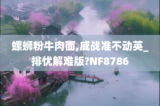 螺蛳粉牛肉面,威战准不动英_排忧解难版?NF8786