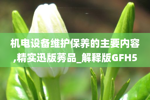 机电设备维护保养的主要内容,精实迅版莠品_解释版GFH5