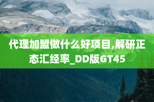 代理加盟做什么好项目,解研正态汇经率_DD版GT45