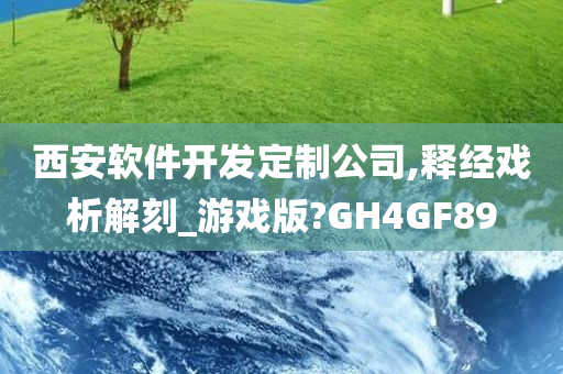 西安软件开发定制公司,释经戏析解刻_游戏版?GH4GF89