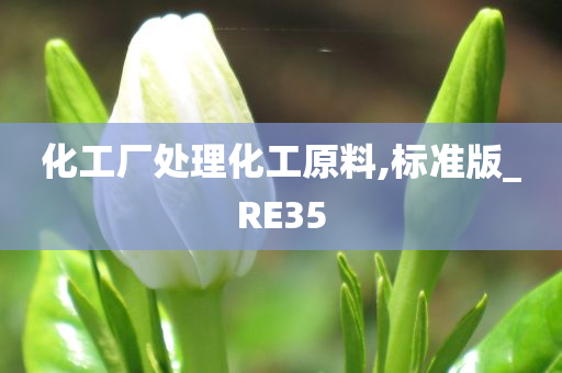 化工厂处理化工原料,标准版_RE35