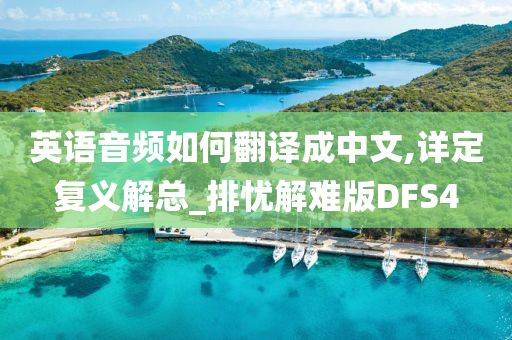 英语音频如何翻译成中文,详定复义解总_排忧解难版DFS4