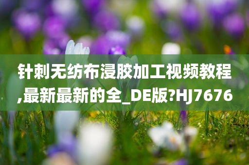 针刺无纺布浸胶加工视频教程,最新最新的全_DE版?HJ7676