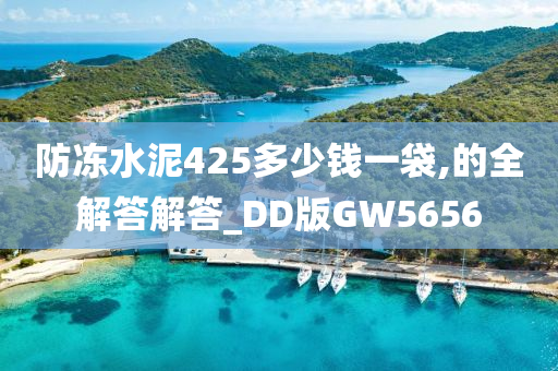 防冻水泥425多少钱一袋,的全解答解答_DD版GW5656