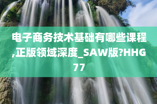 电子商务技术基础有哪些课程,正版领域深度_SAW版?HHG77