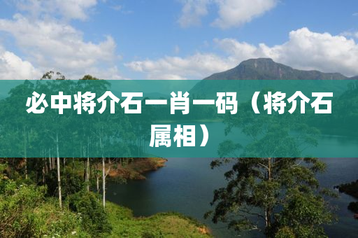 必中将介石一肖一码（将介石属相）